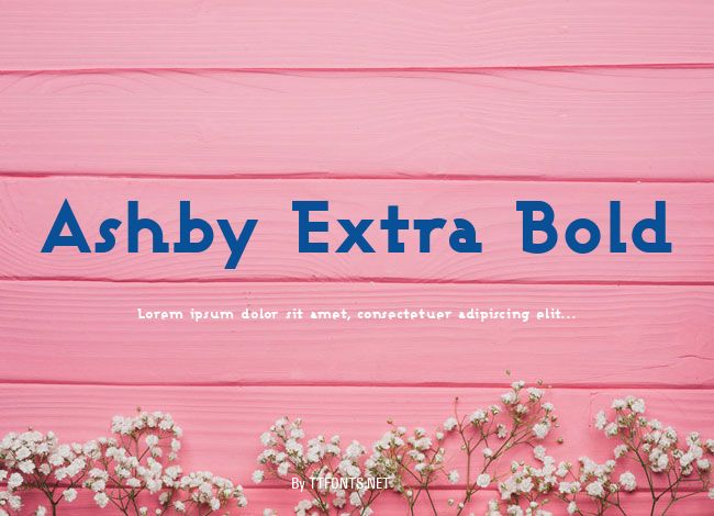 Ashby Extra Bold example
